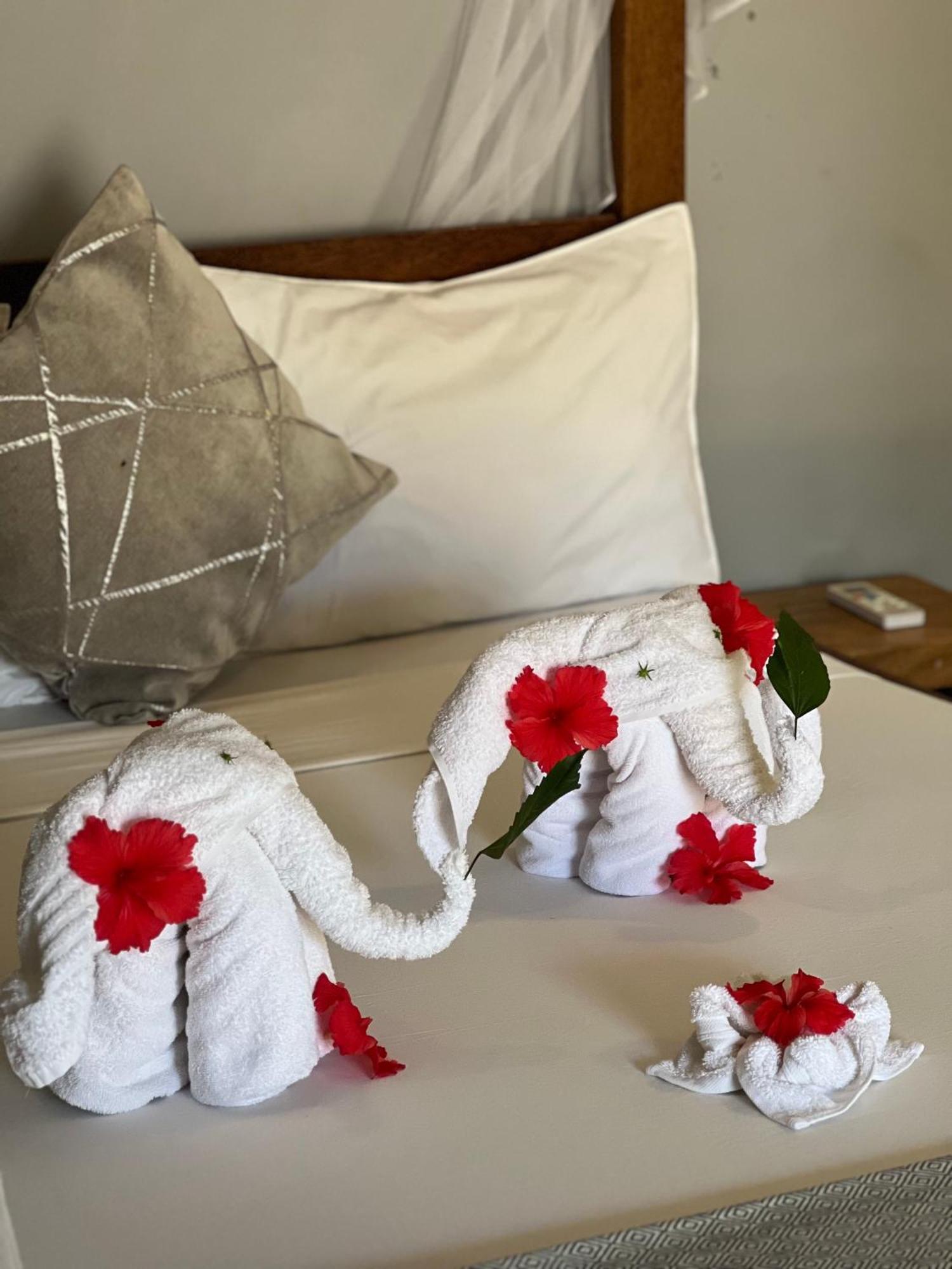 Seashore Beach Hotel Kiwengwa  Zewnętrze zdjęcie